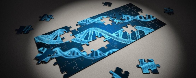 Le diable est dans le détail : et si le silence de Discovery était la pièce manquante du puzzle?