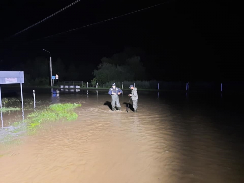 На Ровенщине сильный ветер повалил деревья и обесточил села. Фото
