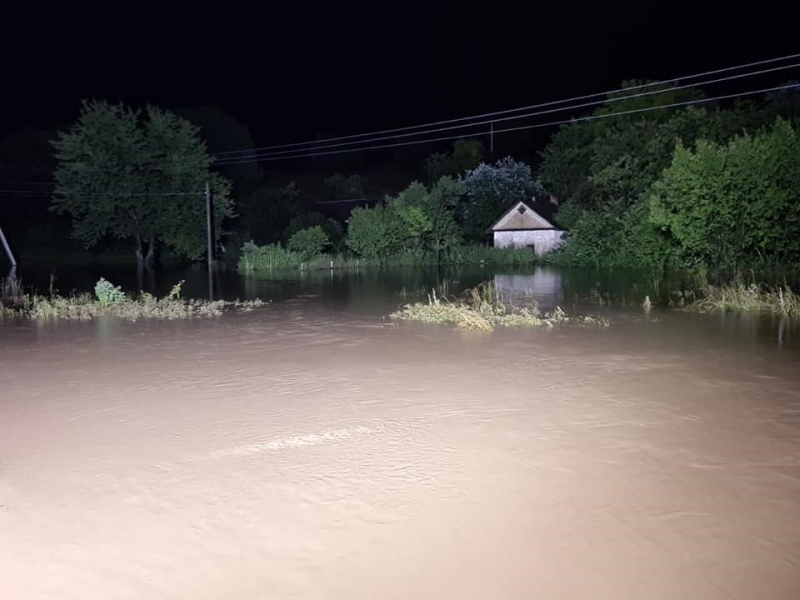 На Ровенщине сильный ветер повалил деревья и обесточил села. Фото