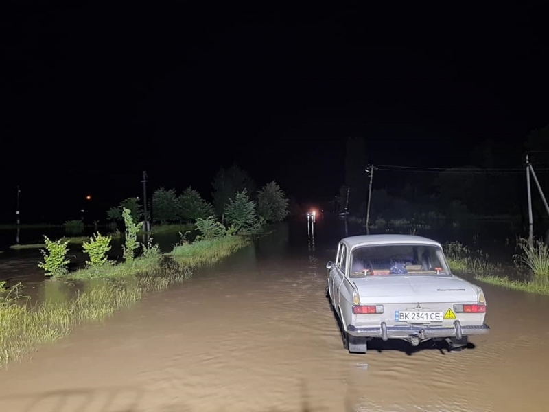На Ровенщине сильный ветер повалил деревья и обесточил села. Фото