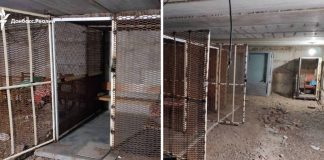 The chilling photos of Vladimir Putin's torture cages in Ukraine